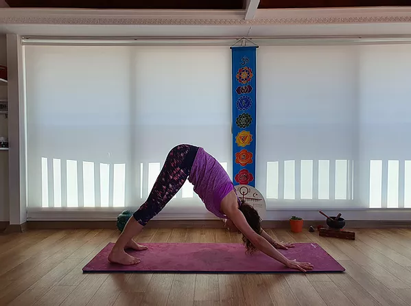 Vinyasa Yoga Mavi Yoga Urla Yoga